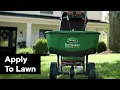 Transform Your Lawn in 21 Days by Overseeding Scotts Rapid Grass