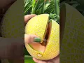 Lagu Cutting fruit #sweet #melon #fruit #fruitlovers #amsr #shortvideo