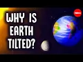 One big reason that life on Earth exists - Elise Cutts