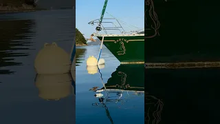 Leaving Wahine for a While / A New Chapter Begins #JapanSolo #healthyaging #IAFOR