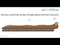 Centipede - can you count the legs