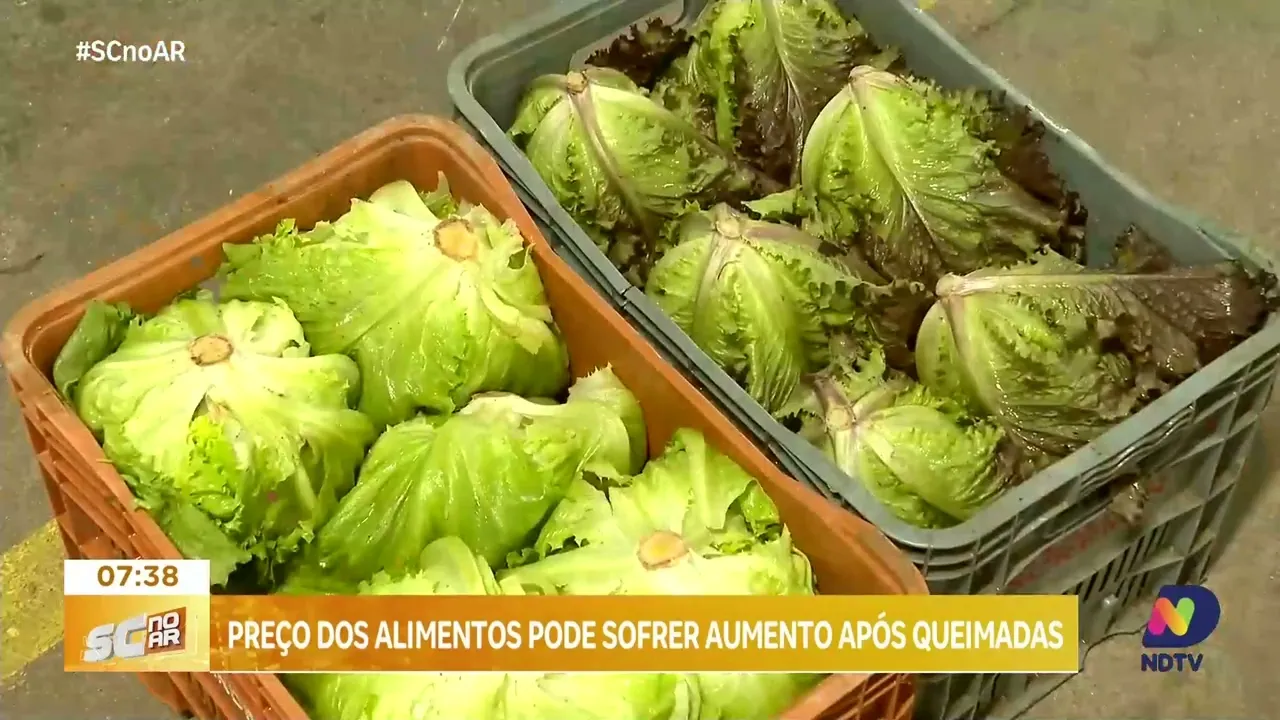 Queimadas e secas podem aumentar preço dos alimentos em todo o país