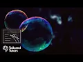 Cell Division Mitosis Topic 2 A-Level Biology Revision
