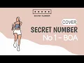 Download Lagu Secret Number (시크릿넘버) cover No.1 - BOA