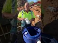 Easy 55-gallon drum DIY septic