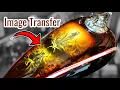Image Transfer and Custom Paint on a Motorcycle Chopper Tank water slide decal