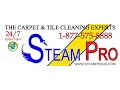 Steam Pro 757-339-9933 Virginia Beach VA