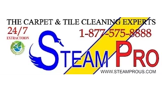 Steam Pro 757-339-9933 Virginia Beach VA