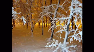 diana onofrei eram micu i nu aveam minte