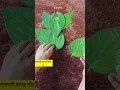 Leaf Art Ganeshji