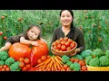 Download Lagu Harvesting Giant Tomato and Broccoli Garden with My Daughter to Sell at Market - Fishing and Cooking