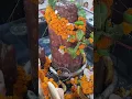 Download Lagu Ganga Dharay Shiv Ganga Dharay I Om Namah Shivaye #trending #shiv
