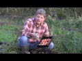 Download Lagu GROWING OCA - SOUTH AMERICAN EDIBLE TUBER