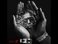 Ninho – Pilier ( MILS IV )