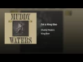 I'm a King Bee - Muddy Waters