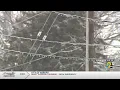 How do companies like Alliant Energy prepare for ice storms