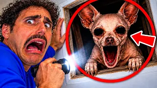 SOMETHING IS LIVING IN OUR ATTIC! 😱