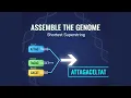 Genome assembly Shortest Superstring Rosalind Problem Bioinformatics Algorithms in Python