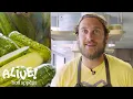 Brad Makes Crunchy Half-Sour Pickles It s Alive Bon Appetit
