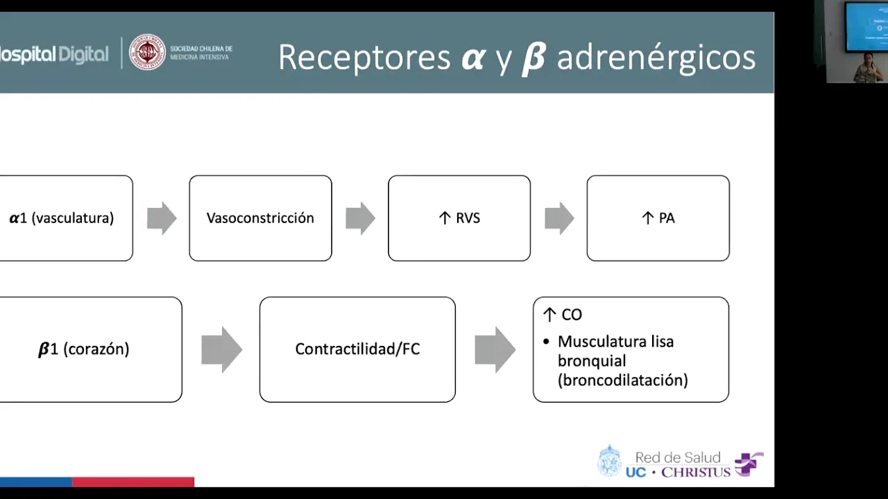 Cuidados y Manejo de Drogas Vasoactivas