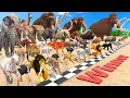 Ultimate Race 40 Wild Animals Speed Challenge: Which is the Fastest? Animal Revolt Battle Simulator