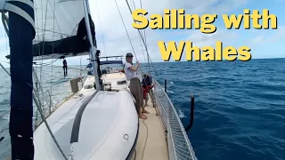 When we almost hit a whale..twice! Ep.18