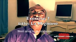 La Mignone Guitar Zaiko Langa Langa 