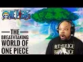 Download Lagu One Piece Newb Reacts to The Breathtaking World of One Piece ! 🔥🔥