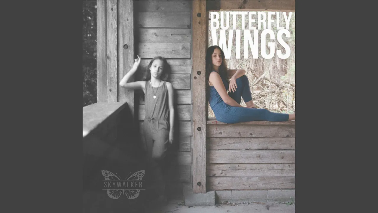 Butterfly Wings Butterfly Wings