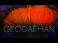 GEODAEHAN 8K MACRO COLORS