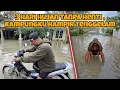 Lagu TIGA HARI HUJAN TANPA BERHENTI HAMPIR MEMBUAT KAMPUNG KAMI TERENDAM BANJIR