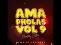 Download Lagu Ama Pholas Vol 9 Mixed By Lastborn(Birthday Edition)
