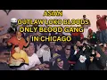 Outlaw Loko Bloods The Only Blood Set in Chicago