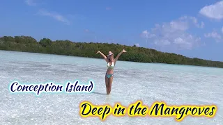 SDA98 Conception Island, Deep in the Mangroves