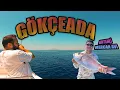 Download Lagu Antenli Mercanı Bulduk AMA Orkinos Canımızı Yaktı !! | TAİ RUBBER İLE MERCAN AVI