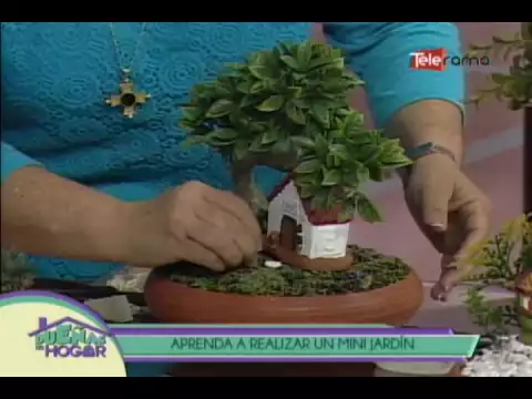 Aprenda a realizar un mini jardín