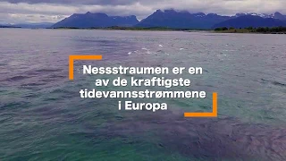Tur til Nesstraumen Hamarøya