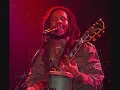 Stephan Marley Master Blaster
