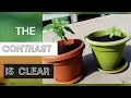 Spider farmer SF2000 LED grow light One Month Update First Review