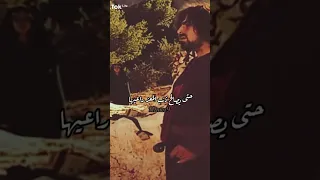 اجمل شعر للزير سالم 
