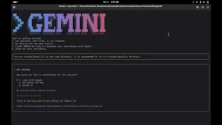 Install Set Up Gemini CLI in 5 Minutes