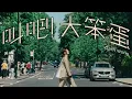 【伴奏】黃妍 - 叫吧！大笨蛋