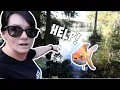 SAVE THEM How To Cure Fish Injuries And Infections