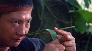 sammo hung and yuen biao weaponize leaves to defeat entire vietnamese army 