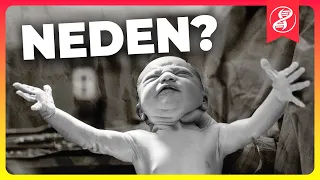 İnsan Bebekleri Neden Bu Kadar Aciz? YouTube video detay ve istatistikleri