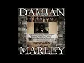 12   Fighter   Cham Feat  Damian Marley