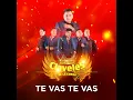 Te Juro Que Te Amo