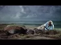 Saving Leatherback Turtles In Trinidad Blue Planet II
