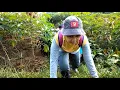 Download Lagu Hiking bocah Nusantara Parkerizing