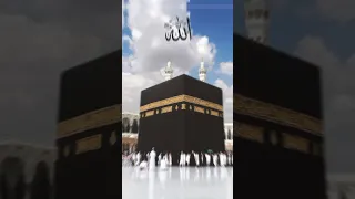 يا رايح للنبي الهادي بلغ سلامي النوبادي   هنيالك وعقبالي   دندنها